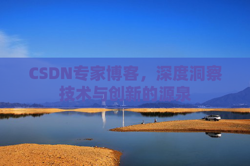 CSDN专家博客，深度洞察技术与创新的源泉